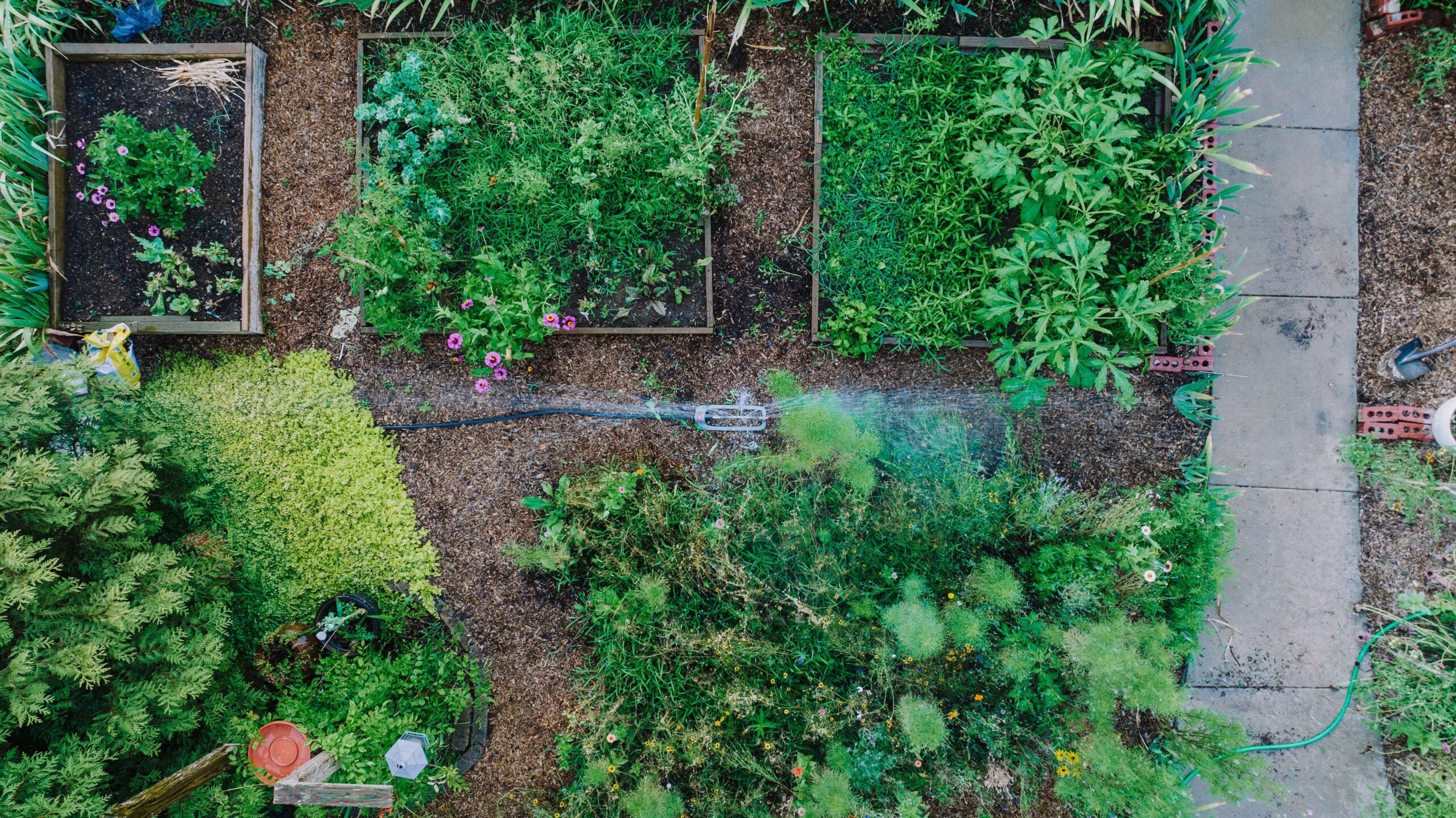 garden bed