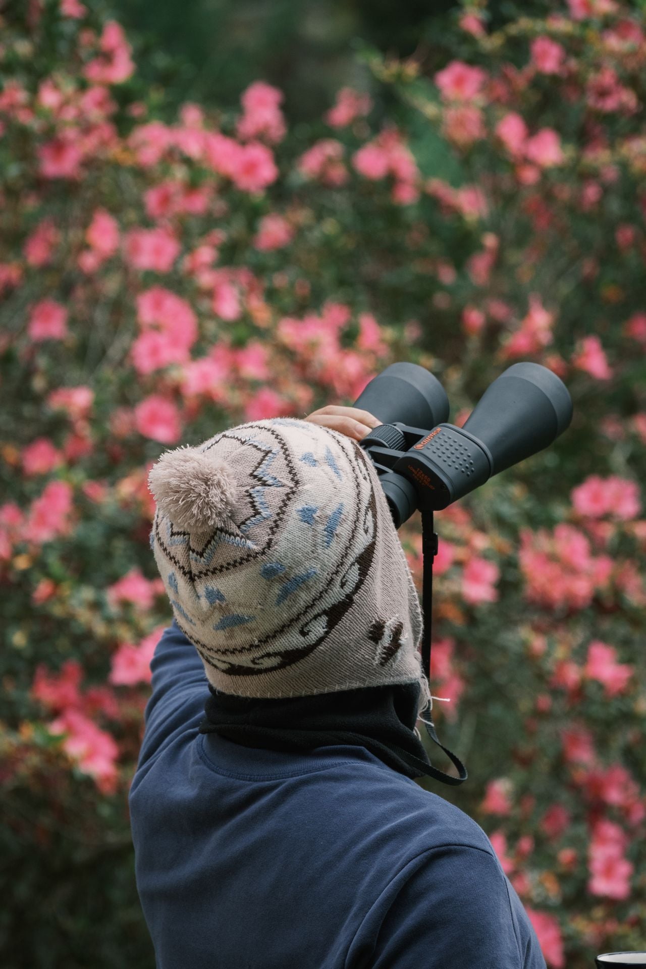 bird watching