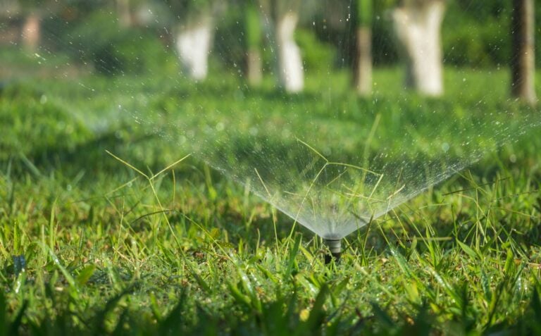 Lawn Care Habits