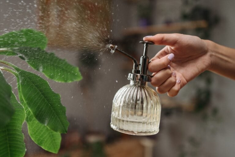 Vintage Garden Sprayers