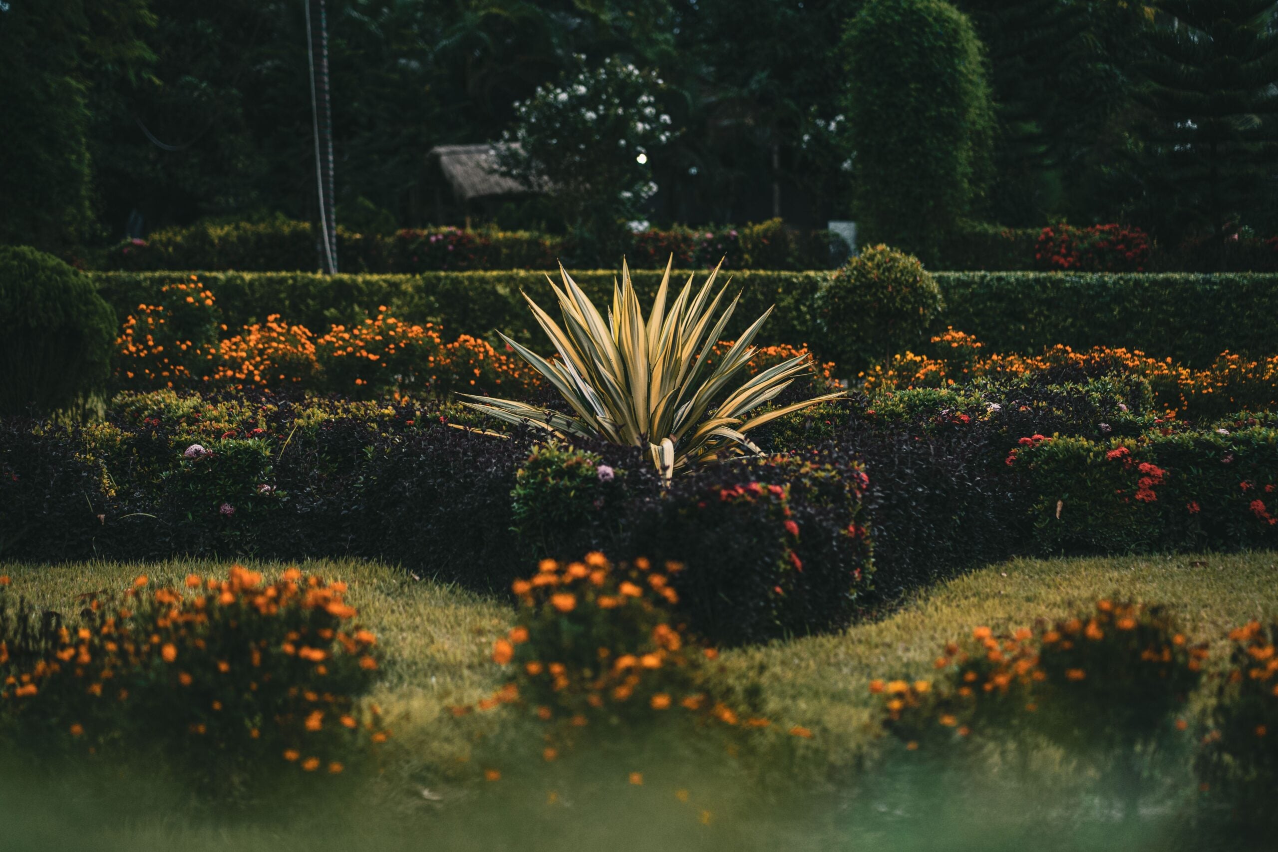 garden