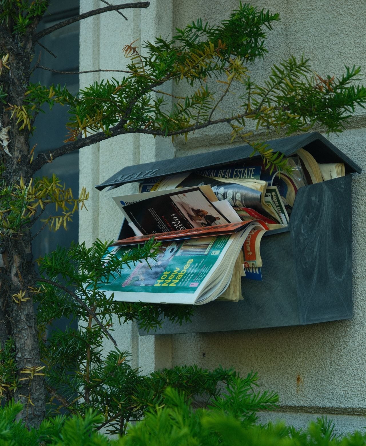 4 ways to stop junk mail before it ever reaches your mailbox