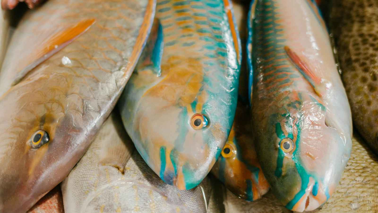 17 Foods You are Eating That Are Bad for Your Brain