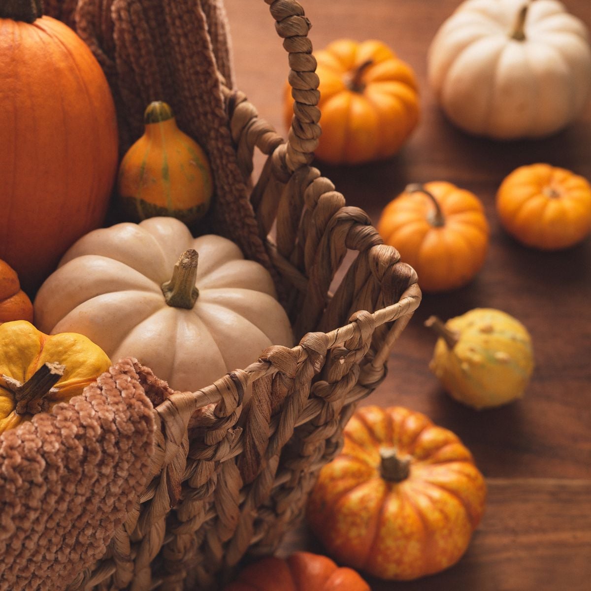 I&rsquo;m a Seasoned Thrift Shopper&mdash;Here Are My Favorite Secondhand Finds for Autumn