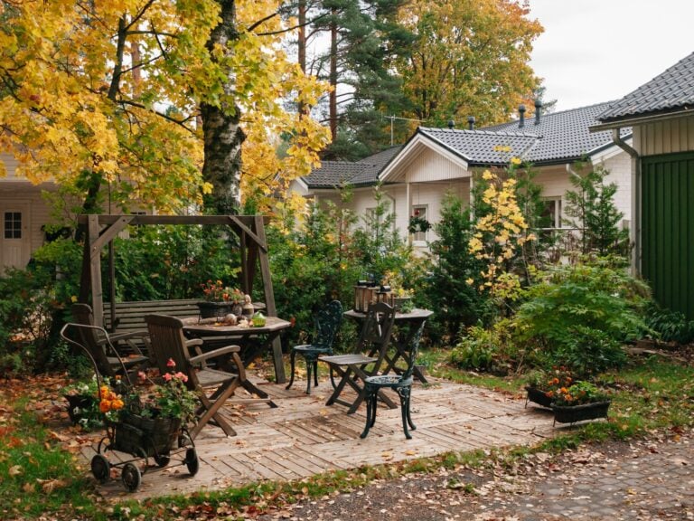 Homeowner Lets Neighbors Use Their Backyard, Then Quickly Regrets It When They Start Complaining About It