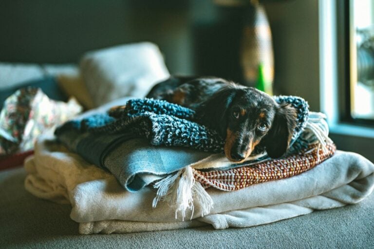 12 things taking up way too much space in your home