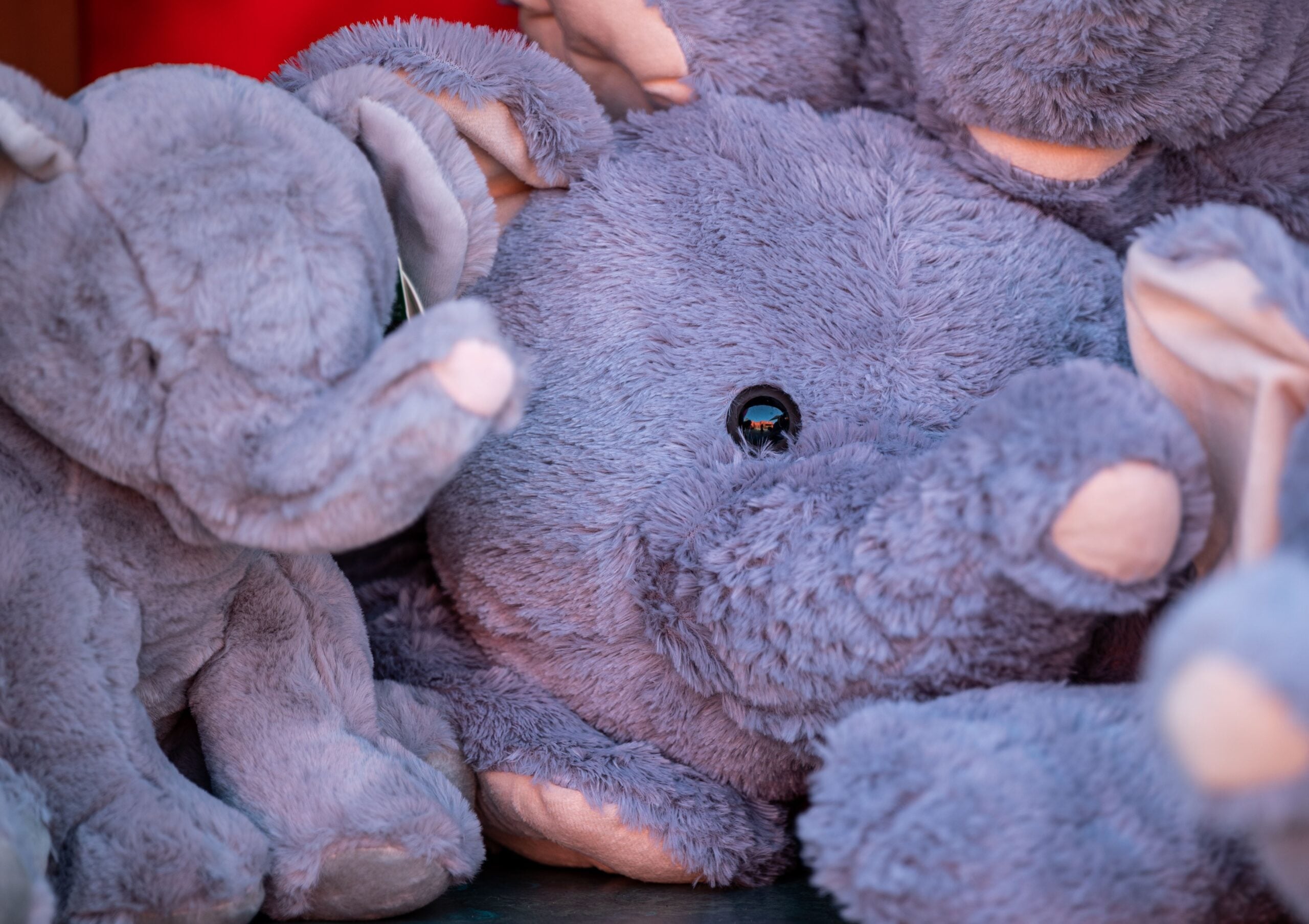 Stuffed Animals