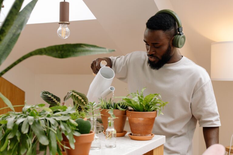 Overwatered Houseplants