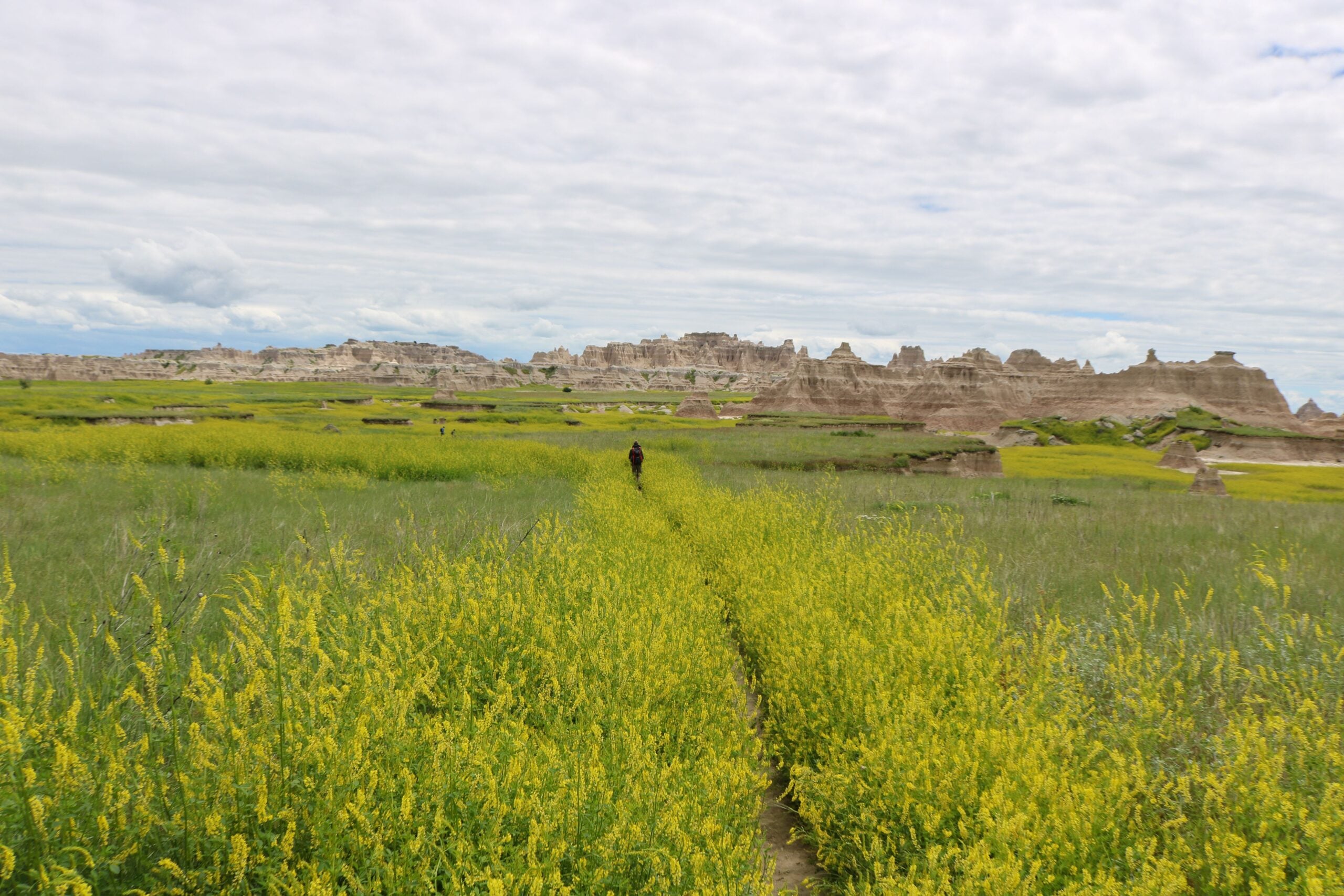 The Badlands