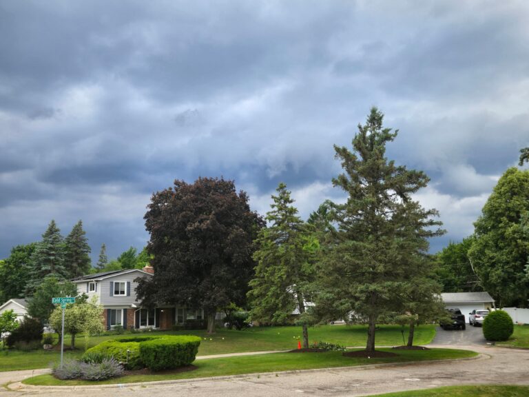 Your Front Yard