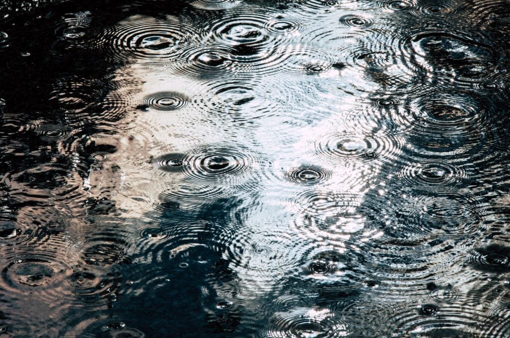 Collect Rainwater
