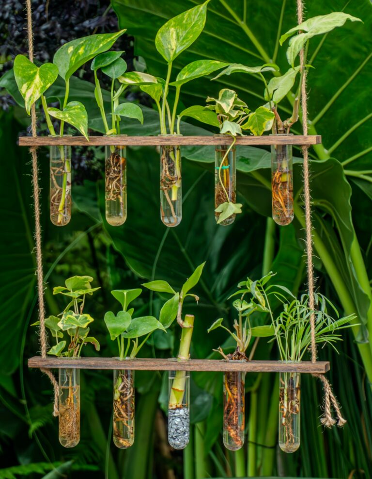 Forget the Dirt. Here’s How to Grow Vegetables, Herbs, and More Without a Single Scoop of Soil