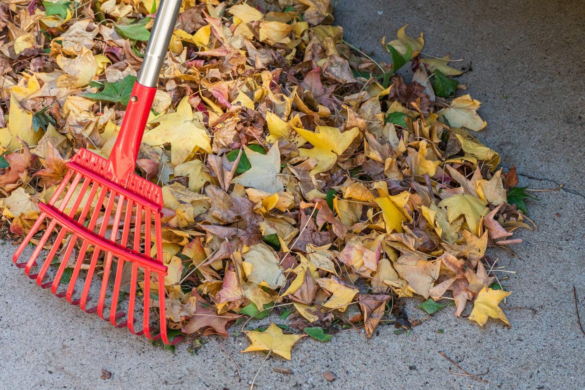 Homeowner begs neighbor to stop using her leaf blower every day, but she refuses